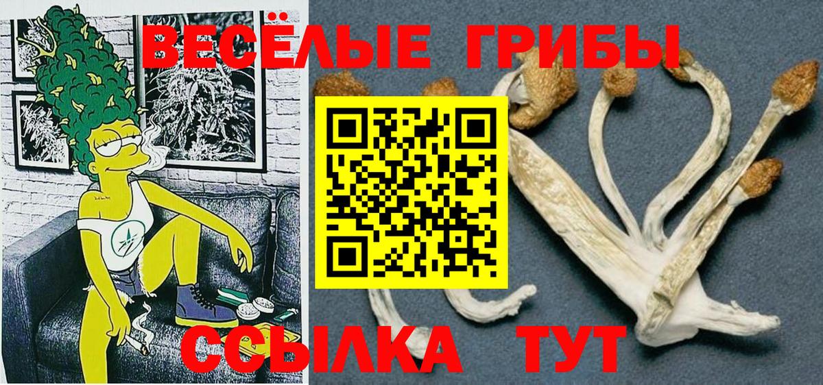 Дербент  Псилоцибиновые грибы мухоморы  магазин  наркотиков  Вход с VPN 