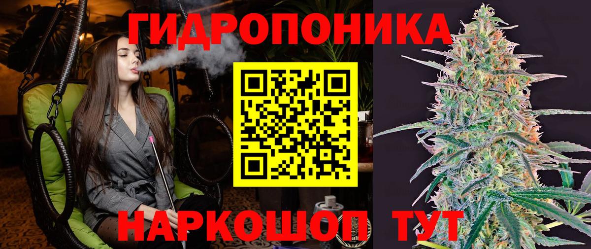 Конопля планчик  Канабис сатива  Дербент  Бошки марихуана сатива  Вход с VPN 